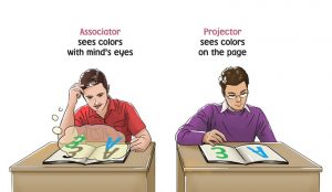 associator synesthete sees a letter and a number and percieves the color with the mind's eyes. The projector sees the color directly on the page directly on the letter. These is a differentiation between synesthetes.